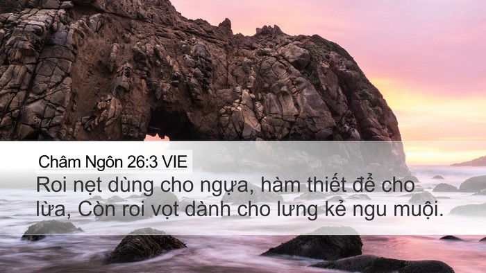 Châm Ngôn 26:3 VIE Bible Verse Image