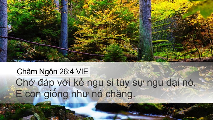 Châm Ngôn 26:4 VIE Bible Verse Image