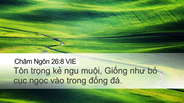 Châm Ngôn 26:8 VIE Desktop Wallpaper - Tôn trọng kẻ ngu muội, Giống như bỏ - Desktop Bible Verse Wallpaper