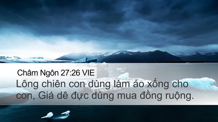 Châm Ngôn 27:26 VIE Desktop Wallpaper - Lông chiên con dùng làm áo xống cho con, - Desktop Bible Verse Wallpaper