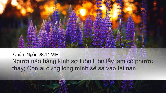 Châm Ngôn 28:14 VIE Bible Verse Image