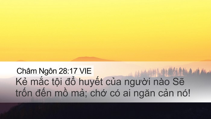 Châm Ngôn 28:17 VIE Bible Verse Image