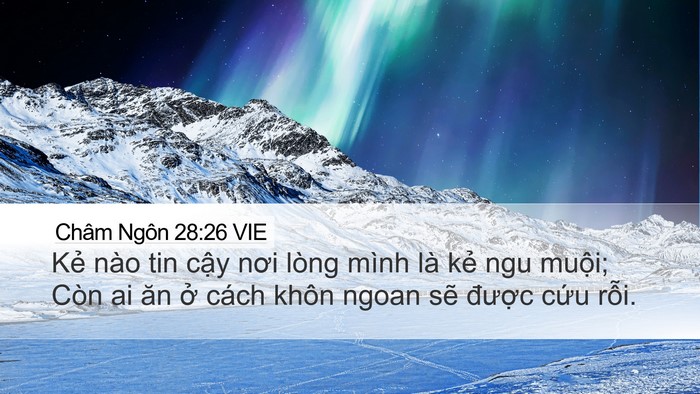 Châm Ngôn 28:26 VIE Bible Verse Image