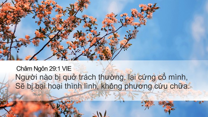 Châm Ngôn 29:1 VIE Bible Verse Image