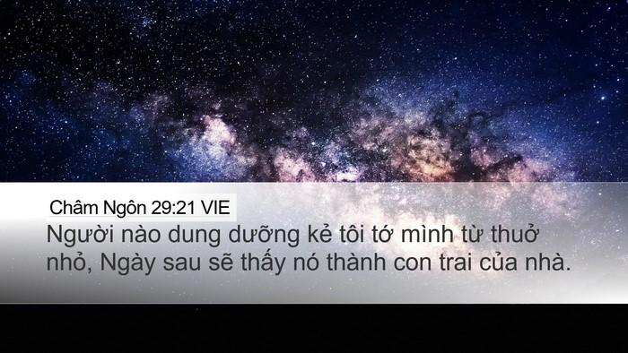 Châm Ngôn 29:21 VIE Bible Verse Image