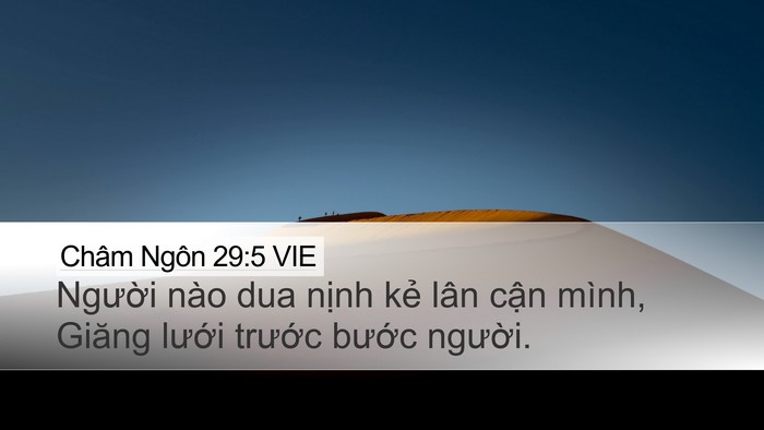 Châm Ngôn 29:5 VIE Bible Verse Image