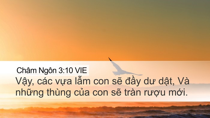 Châm Ngôn 3:10 VIE Desktop Wallpaper - Vậy, các vựa lẫm con sẽ đầy dư - Desktop Bible Verse Wallpaper