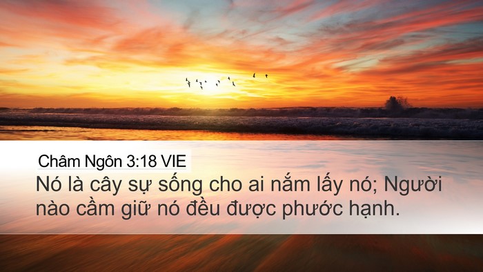 Châm Ngôn 3:18 VIE Bible Verse Image