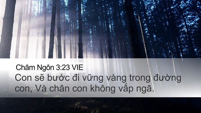 Châm Ngôn 3:23 VIE Bible Verse Image