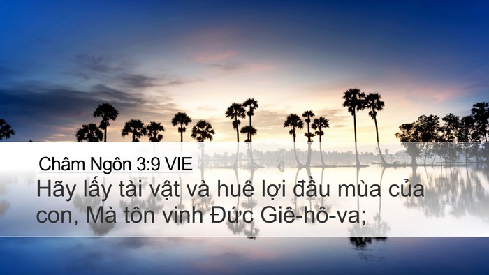 Châm Ngôn 3:9 VIE Bible Verse Image