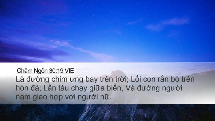 Châm Ngôn 30:19 VIE Desktop Wallpaper - Là đường chim ưng bay trên trời; Lối - Desktop Bible Verse Wallpaper