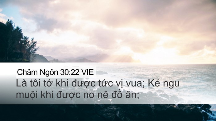 Châm Ngôn 30:22 VIE Bible Verse Image