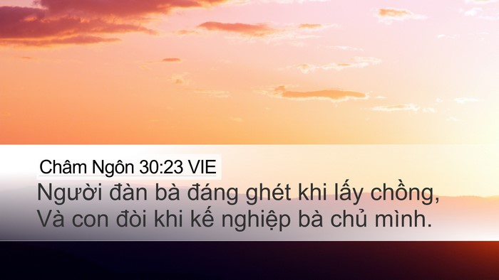 Châm Ngôn 30:23 VIE Desktop Wallpaper - Người đàn bà đáng ghét khi lấy - Desktop Bible Verse Wallpaper