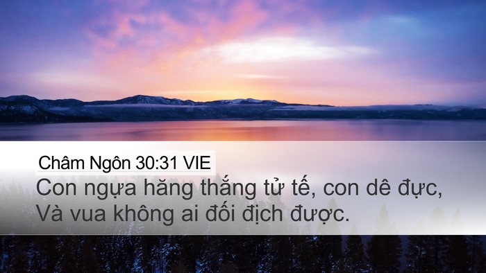 Châm Ngôn 30:31 VIE Bible Verse Image