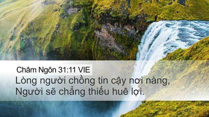 Châm Ngôn 31:11 VIE Bible Verse Image