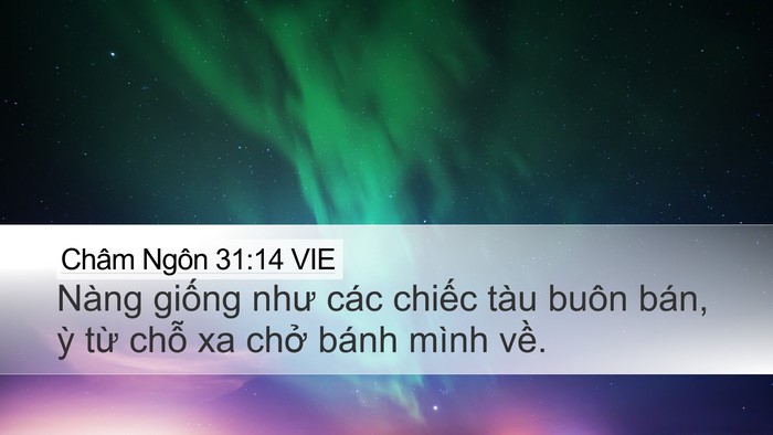 Châm Ngôn 31:14 VIE Desktop Wallpaper - Nàng giống như các chiếc tàu buôn bán, - Desktop Bible Verse Wallpaper