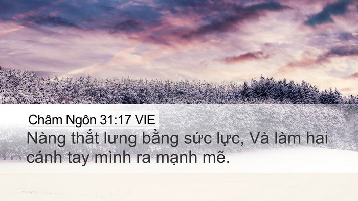 Châm Ngôn 31:17 VIE Bible Verse Image