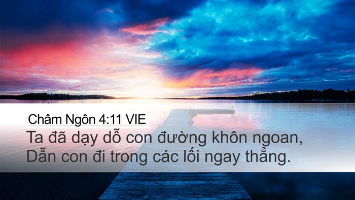 Châm Ngôn 4:11 VIE Desktop Wallpaper - Ta đã dạy dỗ con đường khôn ngoan, - Desktop Bible Verse Wallpaper