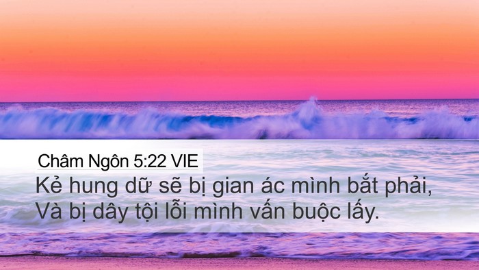 Châm Ngôn 5:22 VIE Bible Verse Image