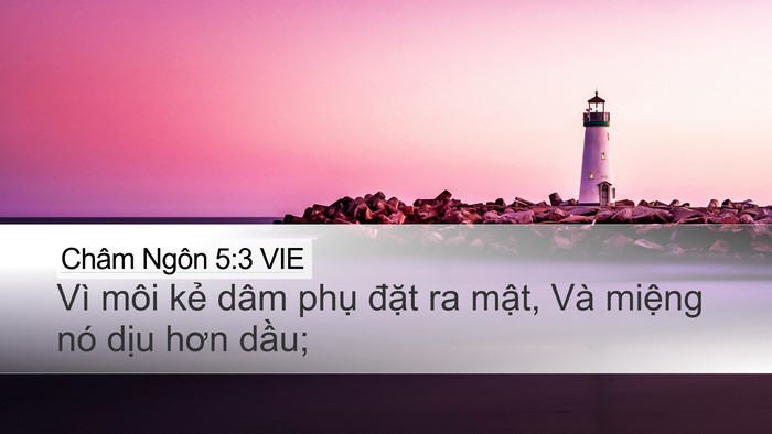 Châm Ngôn 5:3 VIE Bible Verse Image