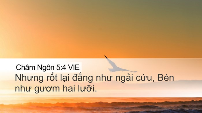 Châm Ngôn 5:4 VIE Bible Verse Image