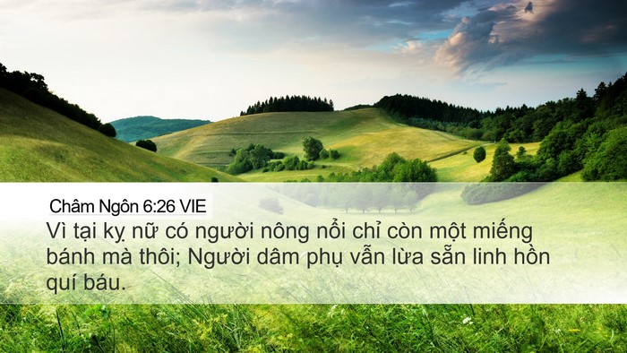 Châm Ngôn 6:26 VIE Bible Verse Image