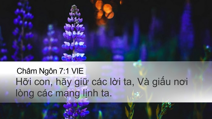 Châm Ngôn 7:1 VIE Bible Verse Image