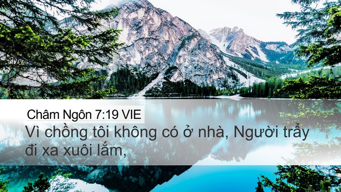 Châm Ngôn 7:19 VIE Bible Verse Image