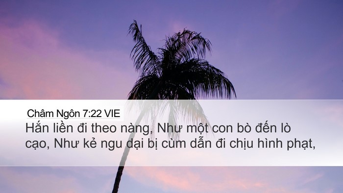 Châm Ngôn 7:22 VIE Bible Verse Image
