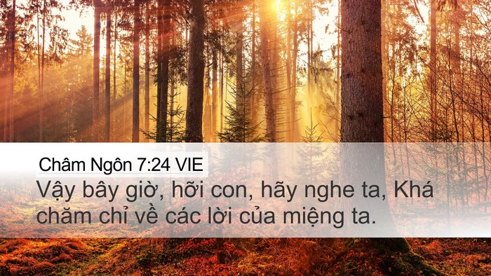 Châm Ngôn 7:24 VIE Bible Verse Image