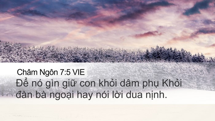 Châm Ngôn 7:5 VIE Desktop Wallpaper - Để nó gìn giữ con khỏi dâm phụ Khỏi - Desktop Bible Verse Wallpaper