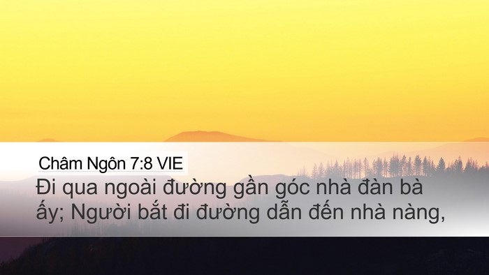 Châm Ngôn 7:8 VIE Desktop Wallpaper - Đi qua ngoài đường gần góc nhà đàn - Desktop Bible Verse Wallpaper