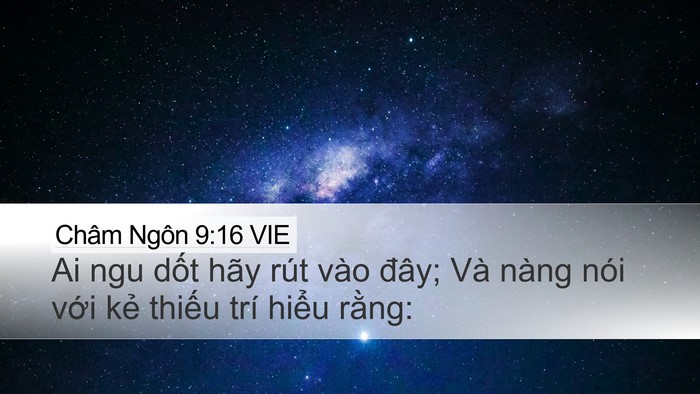 Châm Ngôn 9:16 VIE Bible Verse Image
