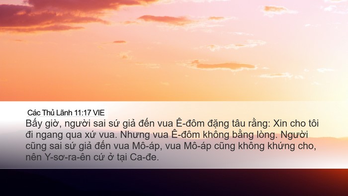 Các Thủ Lãnh 11:17 VIE Bible Verse Image