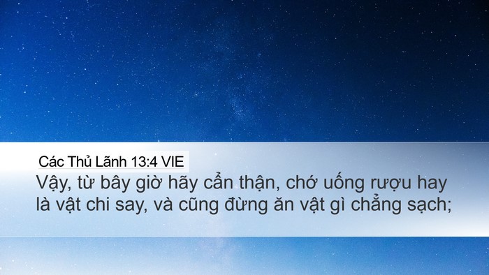 Các Thủ Lãnh 13:4 VIE Bible Verse Image
