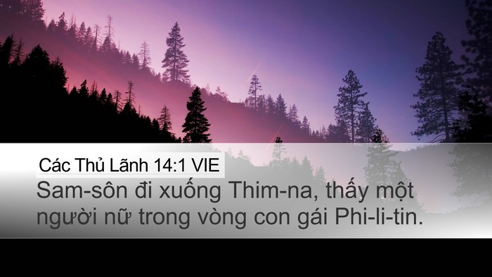 Các Thủ Lãnh 14:1 VIE Bible Verse Image