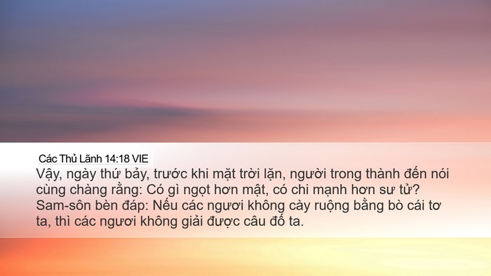 Các Thủ Lãnh 14:18 VIE Bible Verse Image