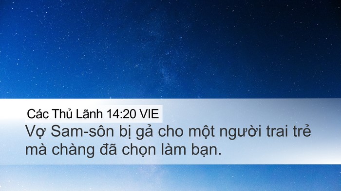 Các Thủ Lãnh 14:20 VIE Bible Verse Image