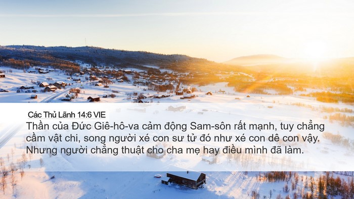 Các Thủ Lãnh 14:6 VIE Bible Verse Image