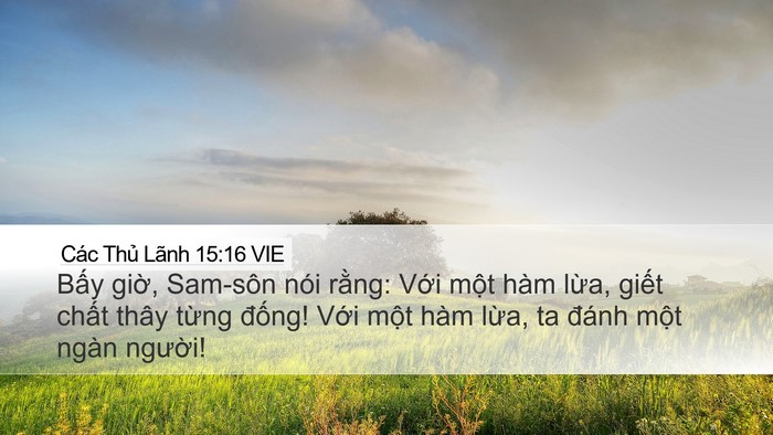 Các Thủ Lãnh 15:16 VIE Desktop Wallpaper - Bấy giờ, Sam-sôn nói rằng: Với một - Desktop Bible Verse Wallpaper