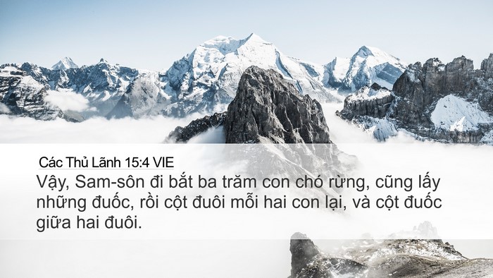 Các Thủ Lãnh 15:4 VIE Bible Verse Image