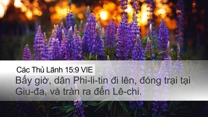 Các Thủ Lãnh 15:9 VIE Desktop Wallpaper - Bấy giờ, dân Phi-li-tin đi lên, đóng - Desktop Bible Verse Wallpaper
