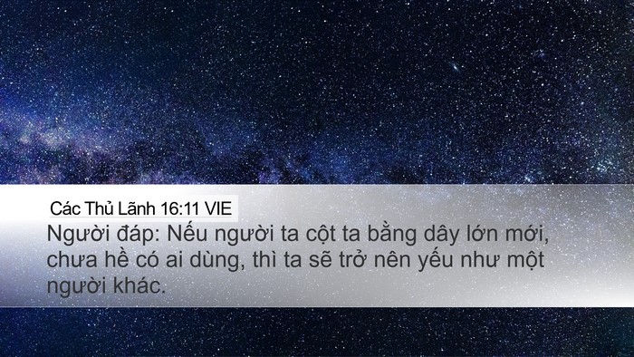 Các Thủ Lãnh 16:11 VIE Desktop Wallpaper - Người đáp: Nếu người ta cột ta bằng - Desktop Bible Verse Wallpaper