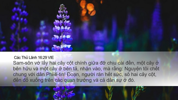 Các Thủ Lãnh 16:29 VIE Bible Verse Image