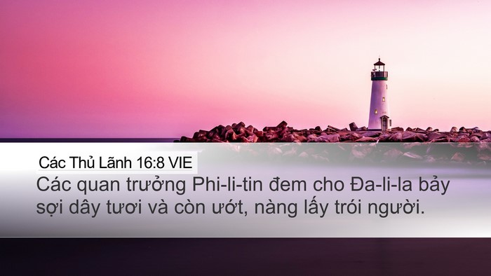 Các Thủ Lãnh 16:8 VIE Desktop Wallpaper - Các quan trưởng Phi-li-tin đem cho Đa-li-la - Desktop Bible Verse Wallpaper
