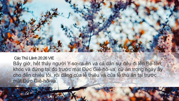 Các Thủ Lãnh 20:26 VIE Bible Verse Image