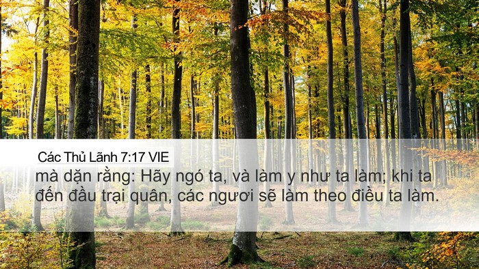 Các Thủ Lãnh 7:17 VIE Bible Verse Image