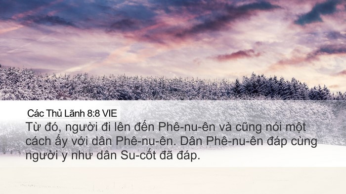 Các Thủ Lãnh 8:8 VIE Bible Verse Image