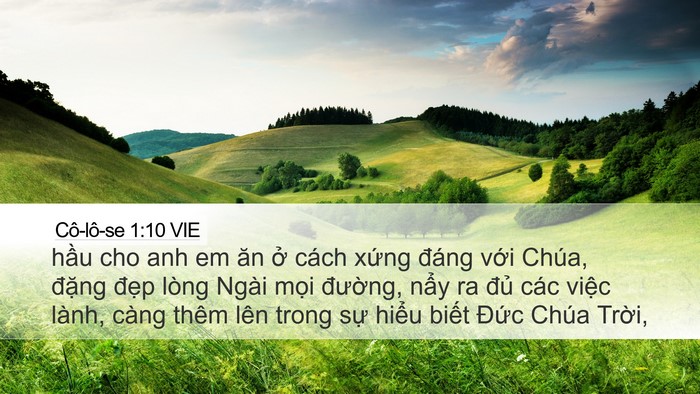 Cô-lô-se 1:10 VIE Bible Verse Image