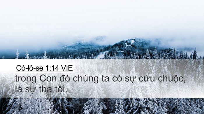 Cô-lô-se 1:14 VIE Bible Verse Image